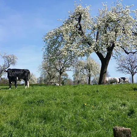 Ξενοδοχείο Vouwere