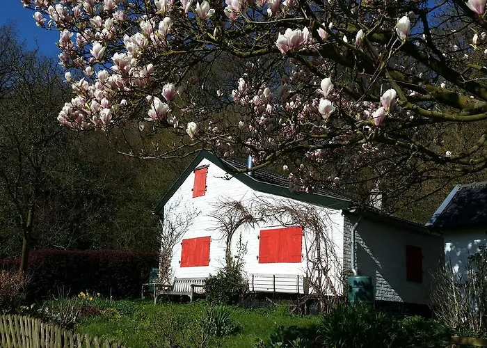 Vouwere ميشيلين